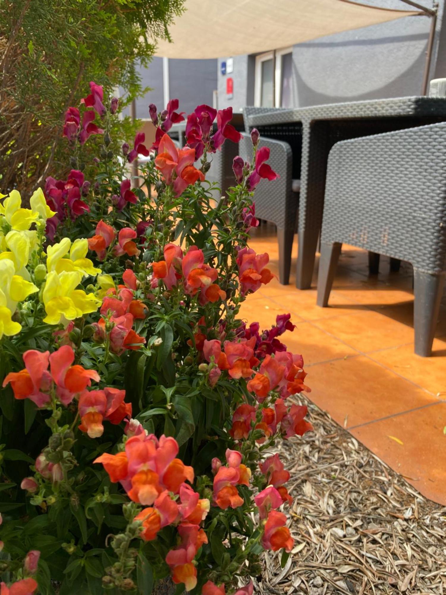 מוגויו Contact Hotel Le Sud Montpellier Aeroport Parc Expo Arena מראה חיצוני תמונה